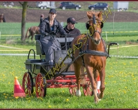 1POSIEUX 0275